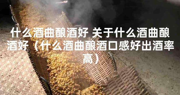 什么酒曲酿酒好 关于什么酒曲酿酒好（什么酒曲酿酒口感好出酒率高）